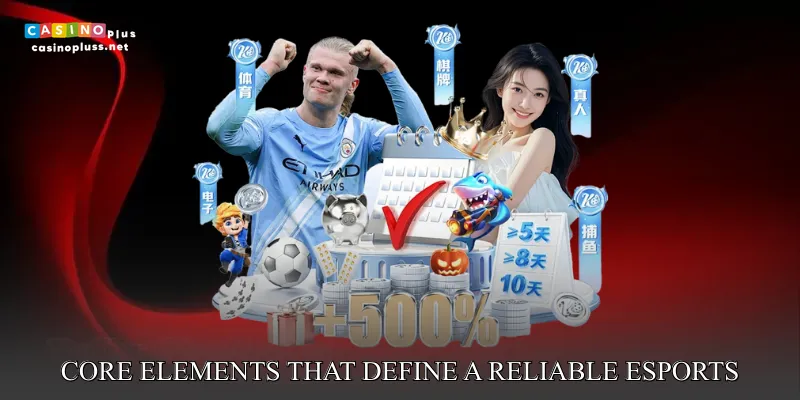 Core Elements That Define a Reliable Esports Experience