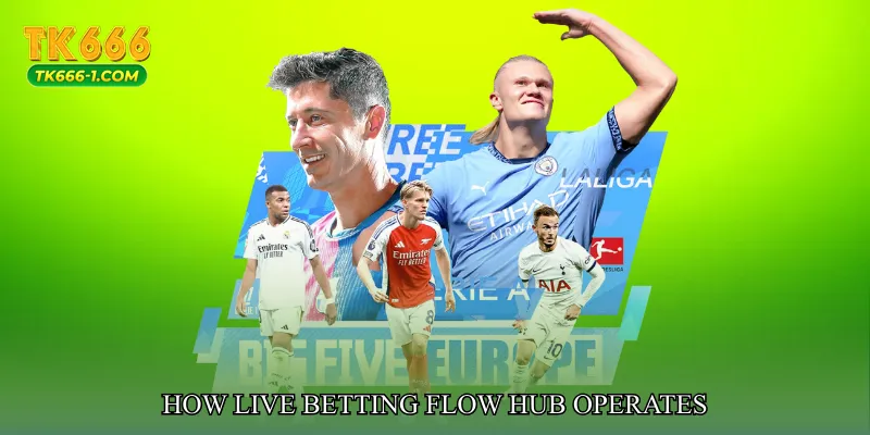 How Live Betting Flow Hub Operates