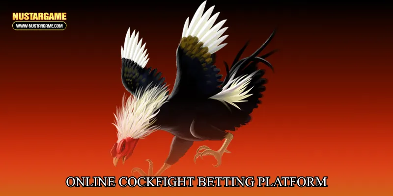 online cockfight betting platform
