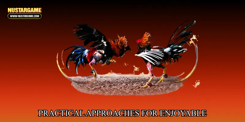 Practical Approaches for Enjoyable and Responsible Participation