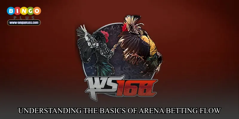 Understanding the Basics of Arena Betting Flow