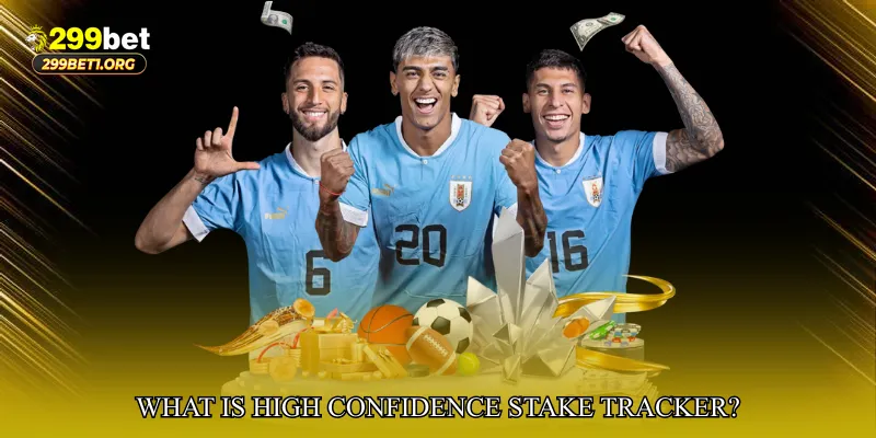 What is High Confidence Stake Tracker?